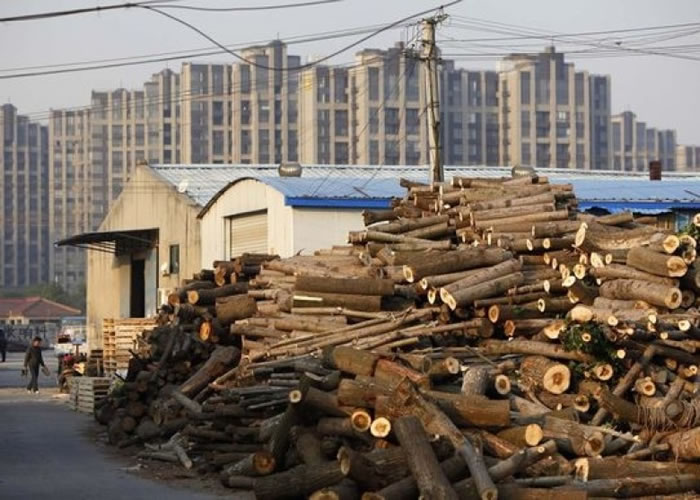 美媒指中国对非洲红木的需求暴涨,令西非国家非法的红木贸易大增。