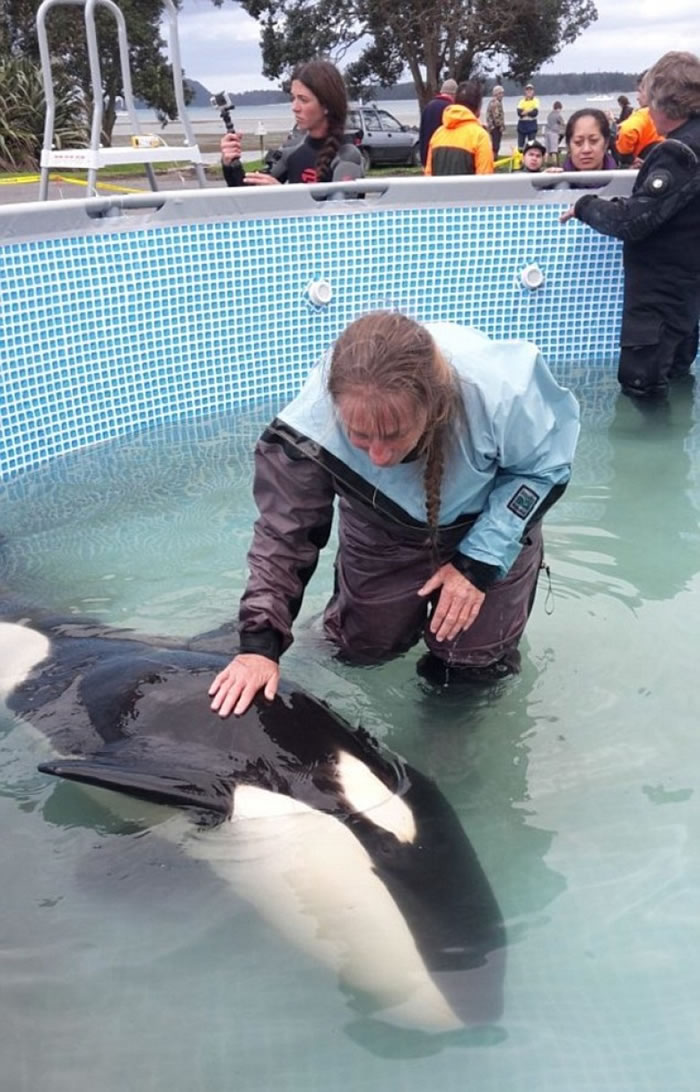 专家指鲍勃喜欢被人触摸。