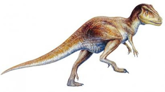 ��ƽ����������ϩ��