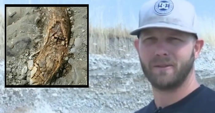 ������������������Լ���ʯ���з�������ǰ��ë������