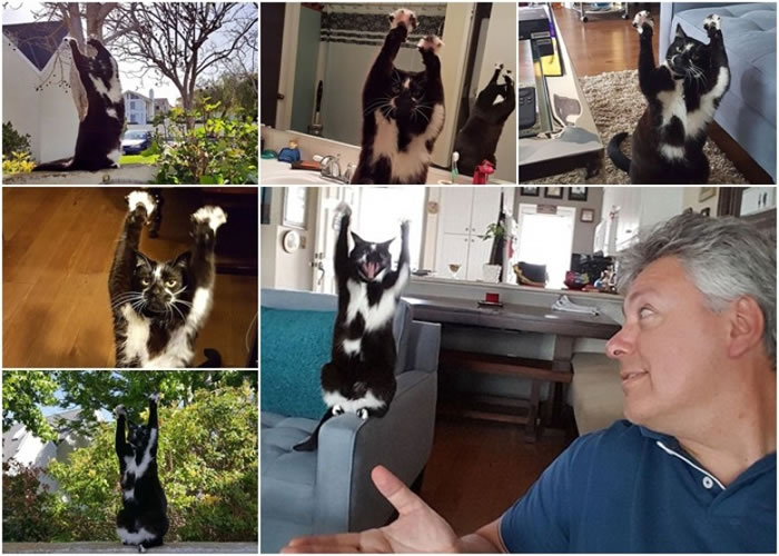 ����˹������ͼ�ң����ֻ�˹������ͼ�󣩻᲻ʱվ������