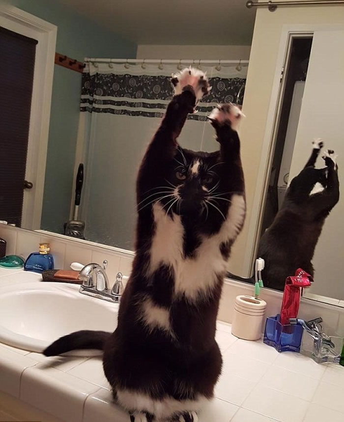 ��˹����ԡ����վ������