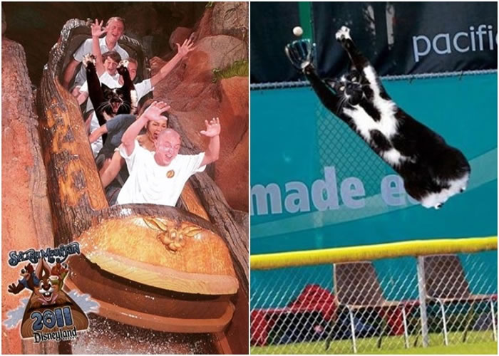 ��������Ϊ��˹����ͼ����ͼ��