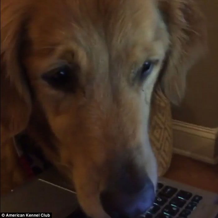 ëѰȮŵĻ ĿתŲŵӰƬ