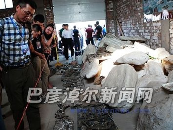 专家学者参观修复现场