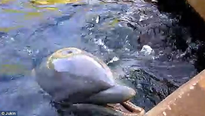 ������������ݰ����ຣ�����纣��˲�������ο�iPAD