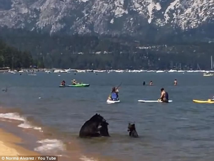 �������ݾ���3ֻ�����ں��г�Ӿ