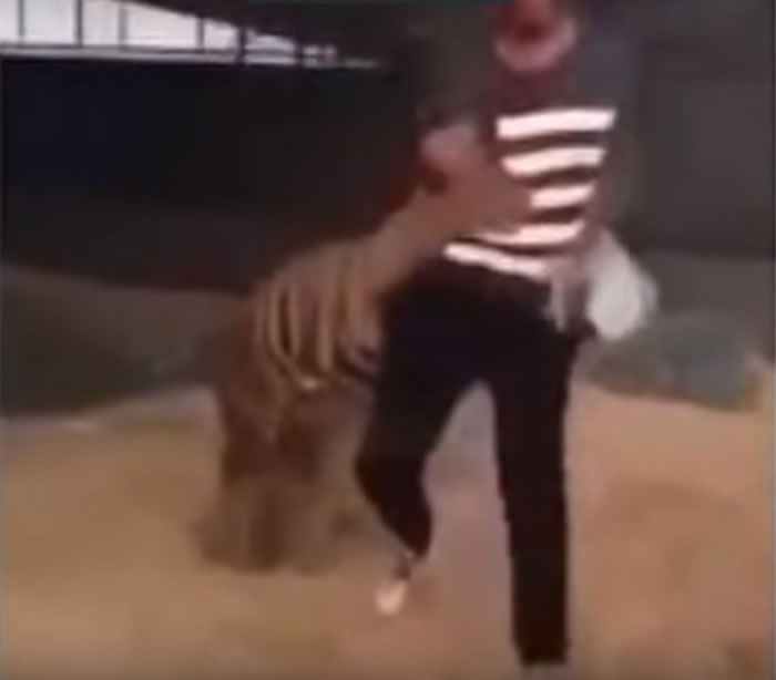 �ϻ�ͻȻ�������ӵĴ��ȡ�