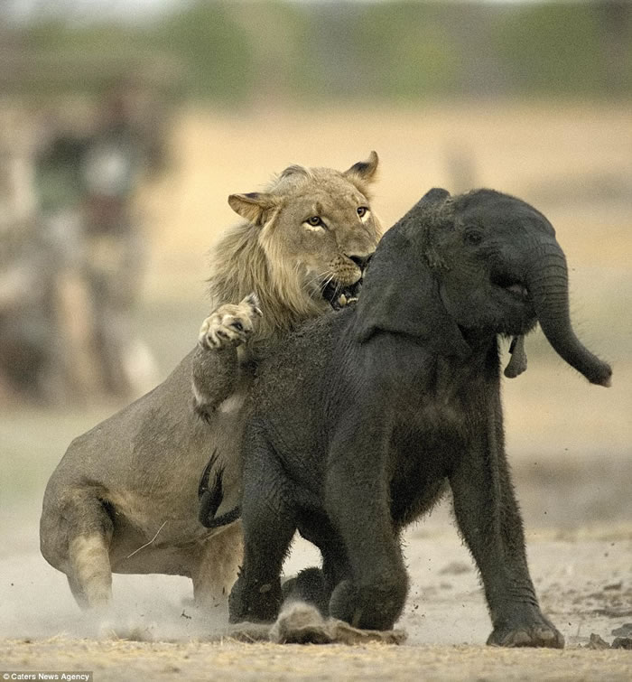 ֮ʳ򣺽ͲΤʨС󵱴