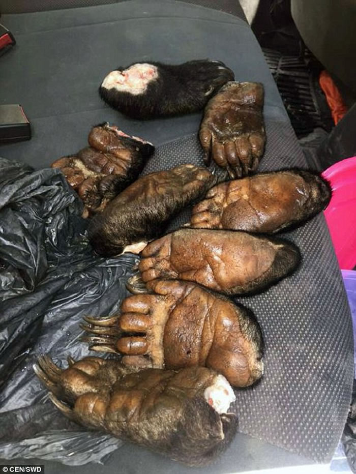 ��������ɳ��2���������ӷǷ���ɱ������������̫����