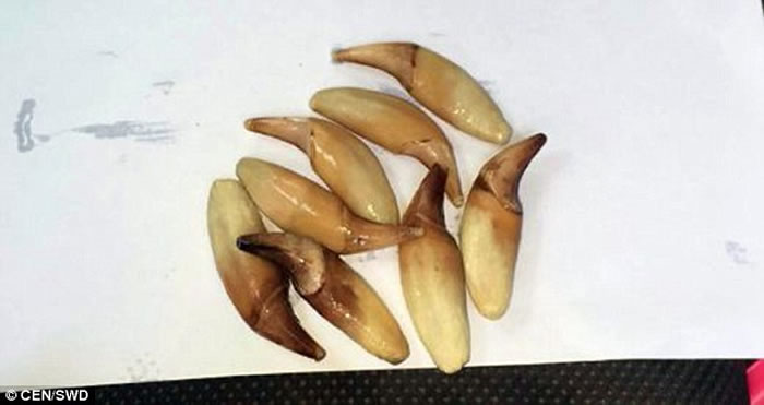 ��������ɳ��2���������ӷǷ���ɱ������������̫����