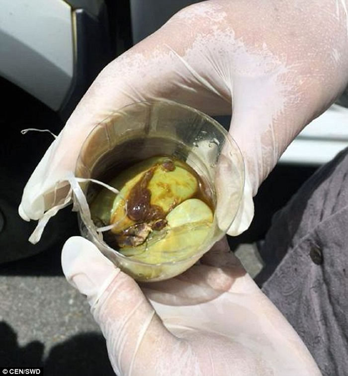 ��������ɳ��2���������ӷǷ���ɱ������������̫����