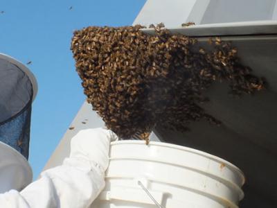 南苏丹共和国首都朱巴市 - 神秘的地球 科学|自