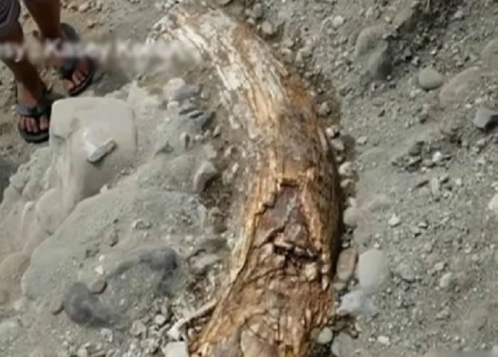 ���������ڳ�����ǰ���ױ��ǳ�ë���� ר�ҳ��·����硰�����롱