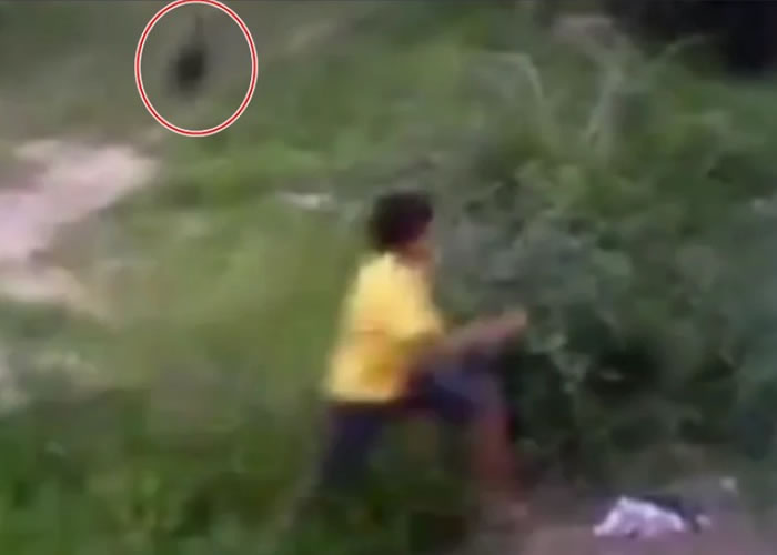 巴西男童爬入邻居后院寻回皮球 遇恶犬险被咬