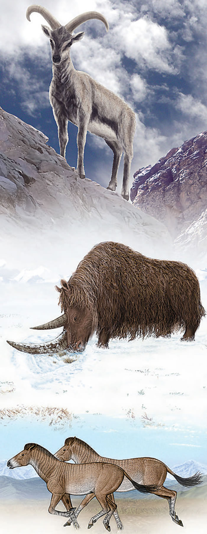 ϵΪϲԭëϬֺĸԭͼпԺż׵ͼ ͼģ