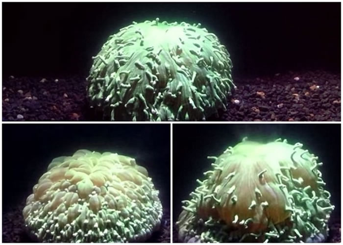 ѧ״¼ɺˮѹ¡ƯסĹ̡