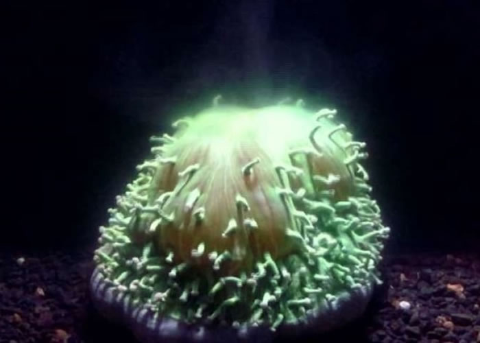 רָһɺڡƯסδܼʱԭ