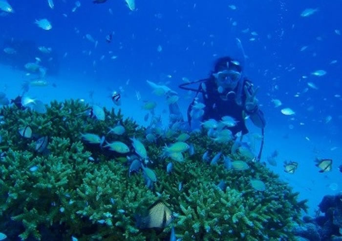 冲绳是热门潜水胜地。