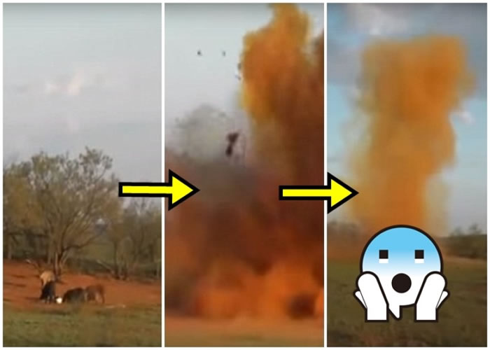 ��������������ըҩ���Ʒ���Ұ��