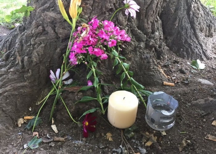 美国纽约州男子树下避雨遭雷电击中惨死 - 神秘