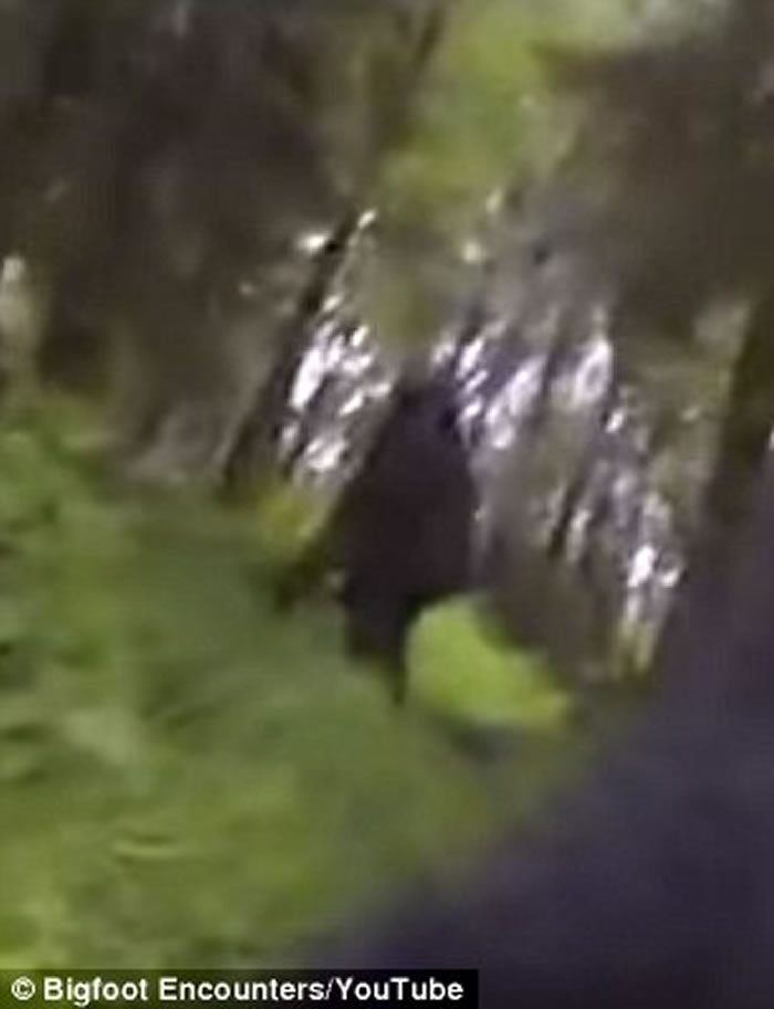 美国安装了运动相机的宠物狗在俄勒冈州丛林中拍摄到“大脚野人”