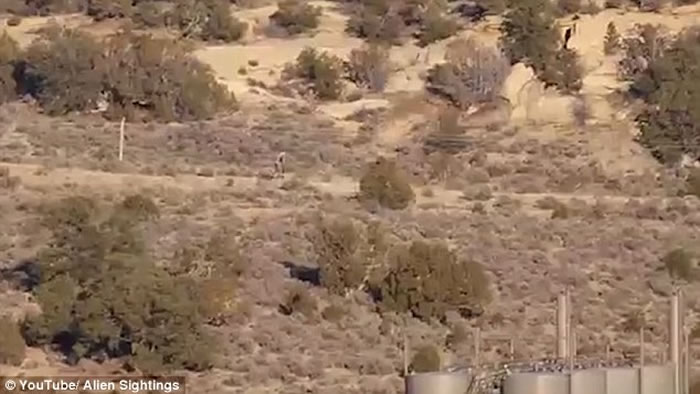 ��˵�е���Ѫ���׿�ؿ�������������������Զ�����񷢳��������