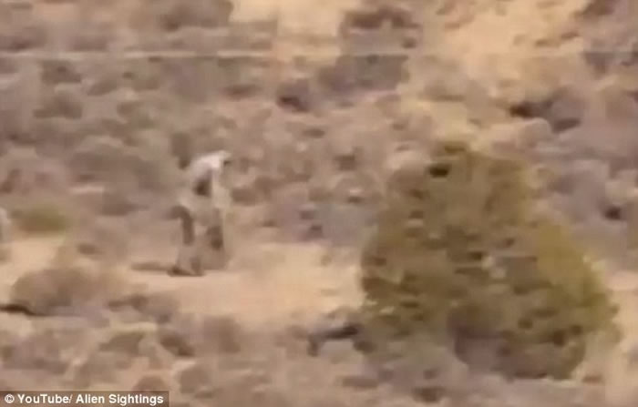 ��˵�е���Ѫ���׿�ؿ�������������������Զ�����񷢳��������