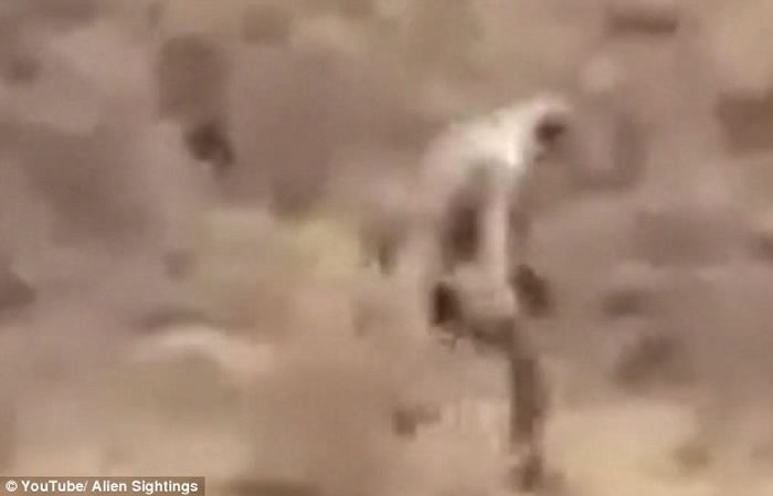 ��˵�е���Ѫ���׿�ؿ�������������������Զ�����񷢳��������