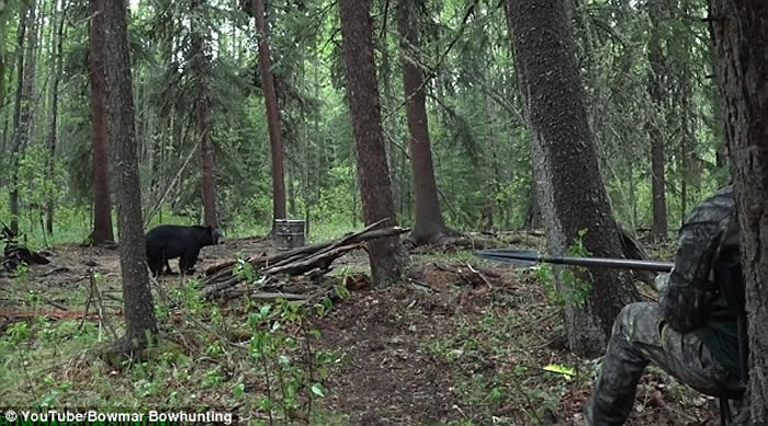 ���������ײ���ɱ���� ��ǹ������20Сʱ����ȥ