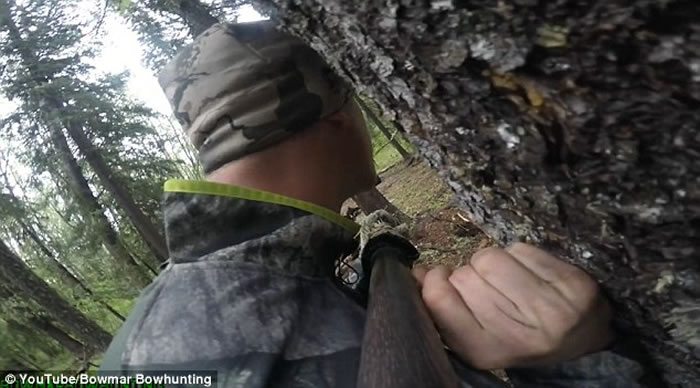 ���������ײ���ɱ���� ��ǹ������20Сʱ����ȥ