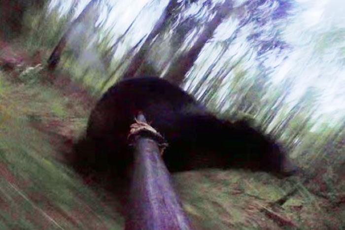 ���������ײ���ɱ���� ��ǹ������20Сʱ����ȥ