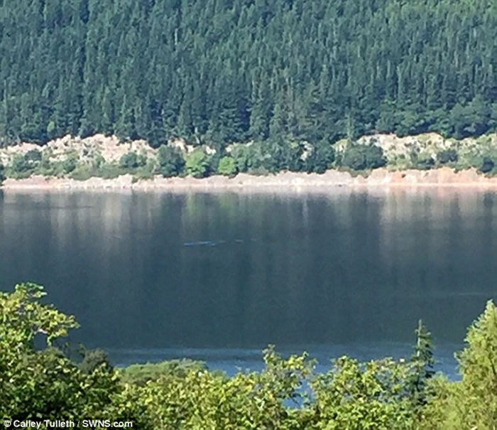 ��˹��ˮ���ٶ��������οͺ����������ʱ����ˮ�������������