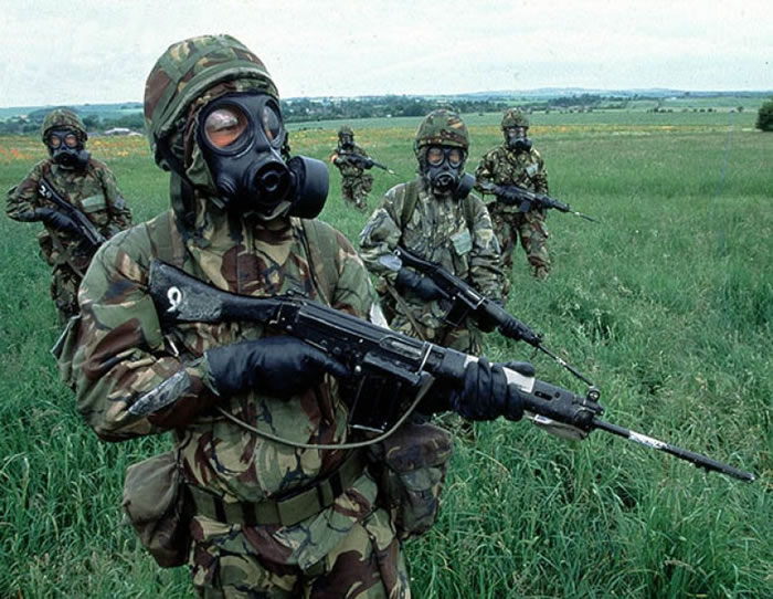 ������ָʵ���������Ӣ��������