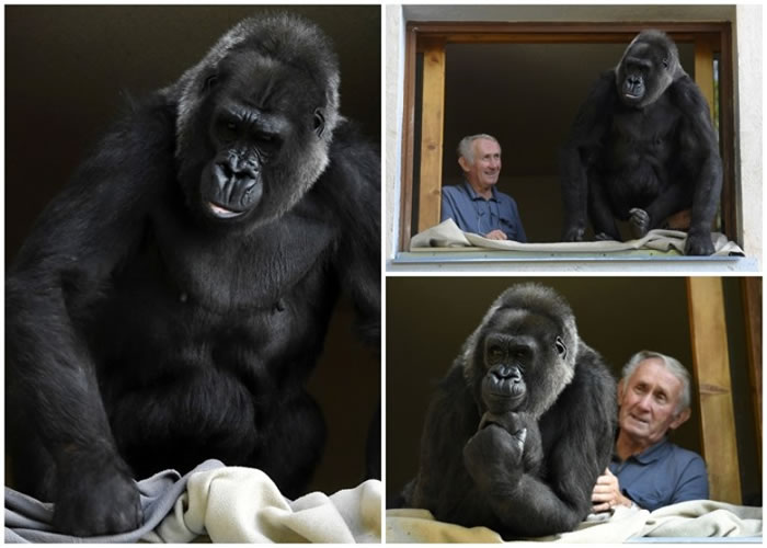 ������Ϊ�չ˴����� 13��û�п���Ӱ���������