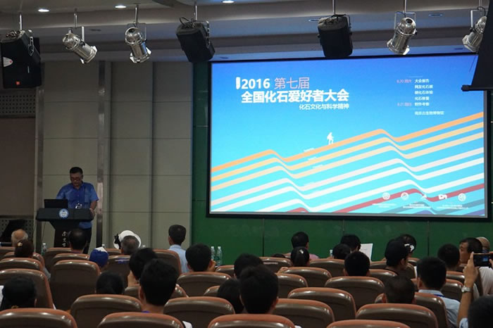 �Ͼ������������ղ��������������ֿ�Ļʽ