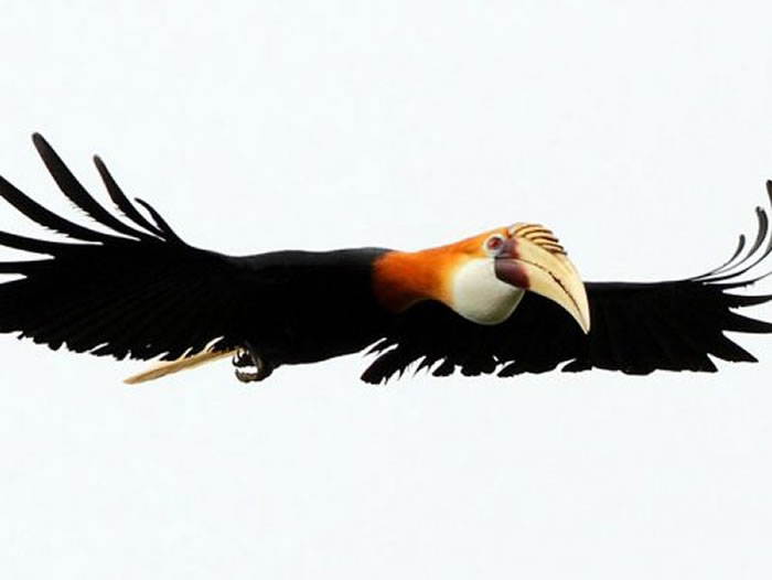 ������������������뵺���������ֵ����������֮�������ϵ