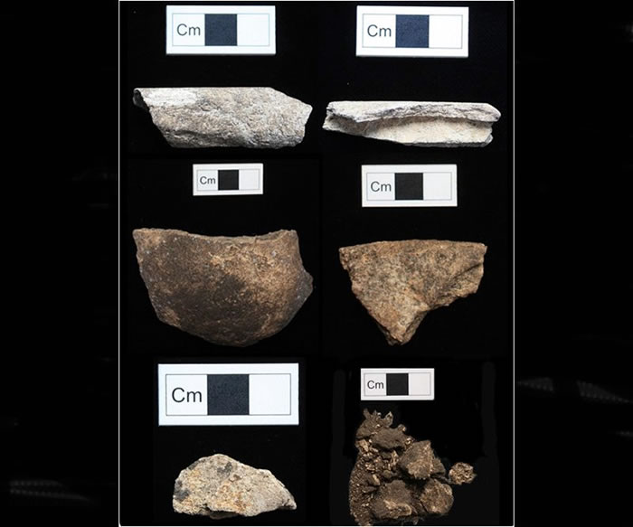 ����ѧ�Ҷ����������Ƭ�еĽ�ԭ�������н����˷���