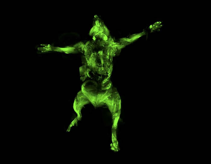 uDISCO�������԰����������͸��