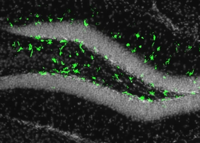 կ��������Űȫ��