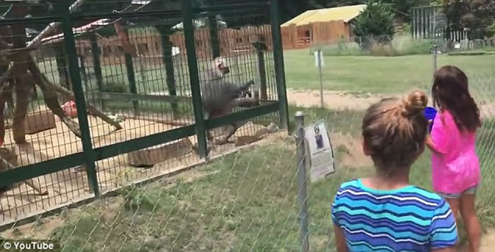 ����Ů����ŭ����԰���� ��Է������������