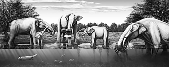 中中新世铲齿象动物群生态环境复原。朱莉·瑟兰绘