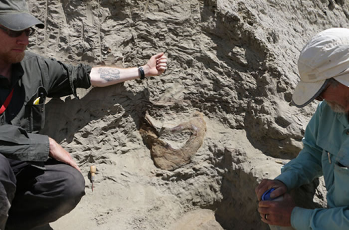 ͼΪ������ѧ�Ҵ���•����� ��Dave DeMar�� �Ƚ����ֱ��ϵ��׿�˹������ͷ�������Ͳ��˲���ݷ��ֵ��׿�˹������ͷ�ǻ�ʯ��