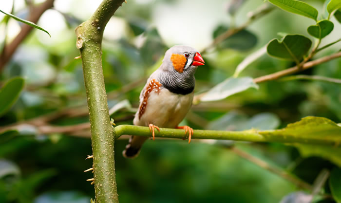 ȫůݰزȸ߷߳衱δĳ