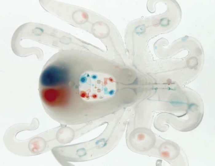 �����׸�ͨ��������������ˡ�Octobot��