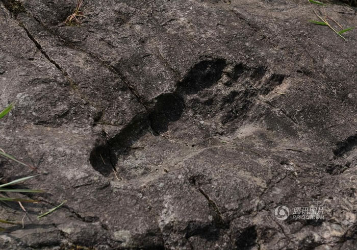 贵州省黔东南苗族侗族自治州从江县加榜乡平彦村巨石上惊现“巨人脚印”