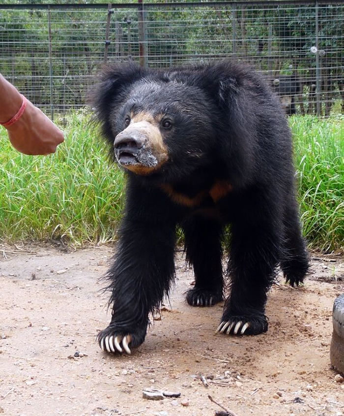 ����Ŀǰס��һ��ר�ž�Ԯ�����ܵİ�������