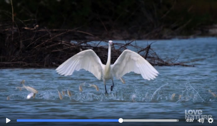 �ؾ��ز���ķ�ʽ����������