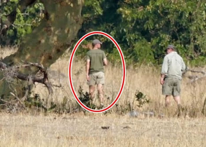 哈里(红圈)前往马拉维,参与动物保育工作。