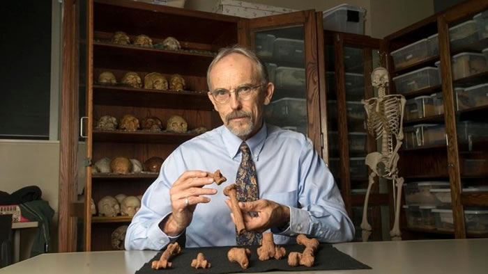 最新研究认为320万年前南方古猿阿法种“露西”是从树上失足摔死